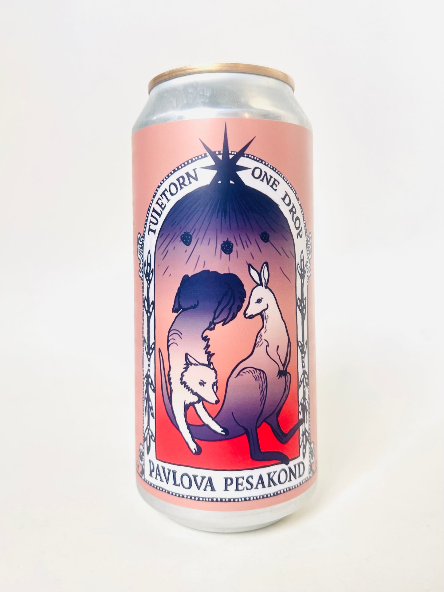 Pavlova Pesakond (koostöö One Drop pruulikojaga)